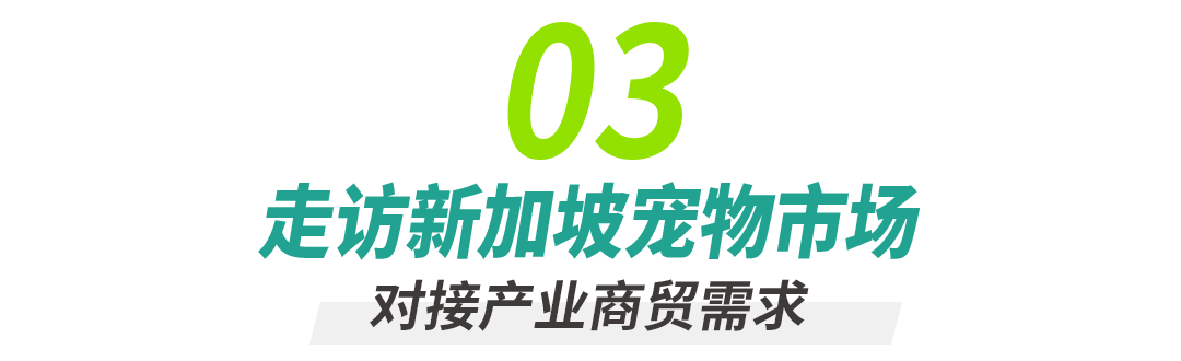 17470404214249593.png