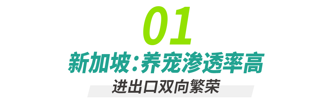 17470404244906103.png