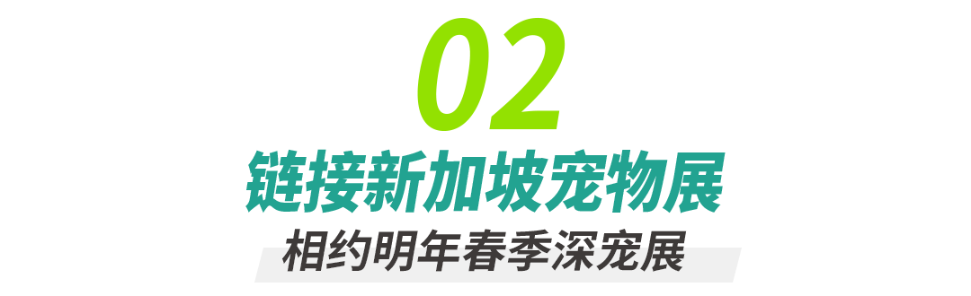 17470404246201565.png