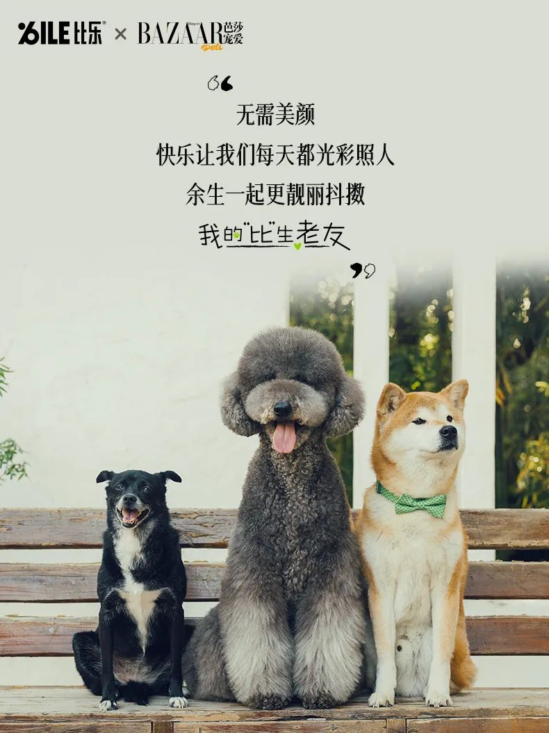 17470433327677313.png