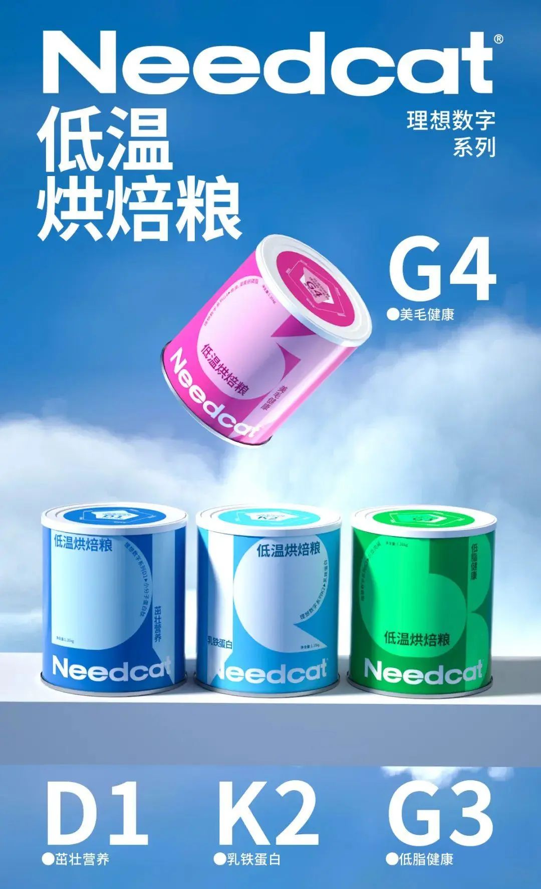 宠物展览会
