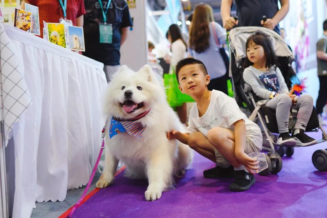 深圳秋季宠物展