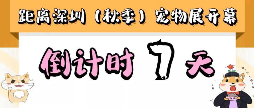 秋季深宠展倒计时7天