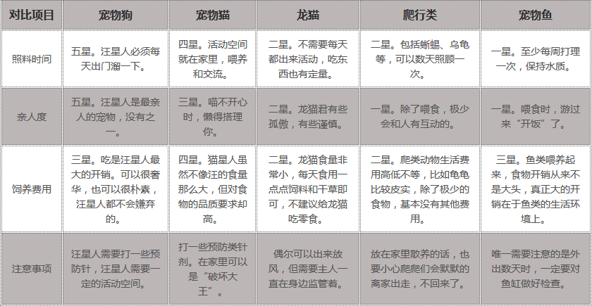 宠物对比项目