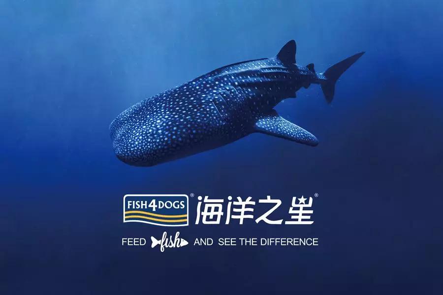 海洋之星