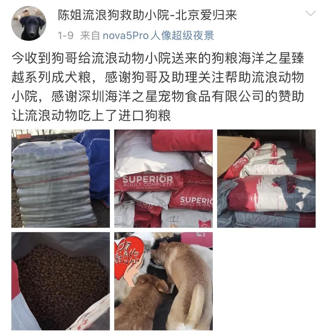 海洋之星公益活动