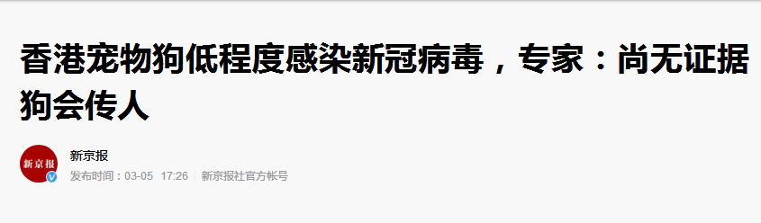 尚无证据狗会传人
