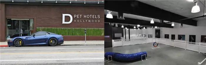 D Pet Hotels宠物酒店