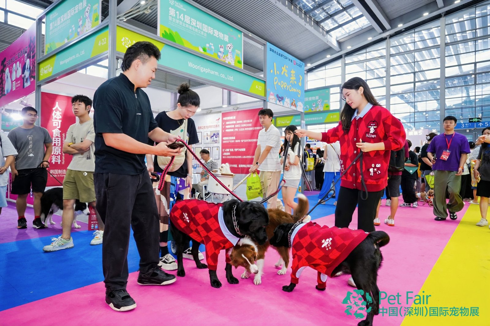 DSC07424-opq4039139521