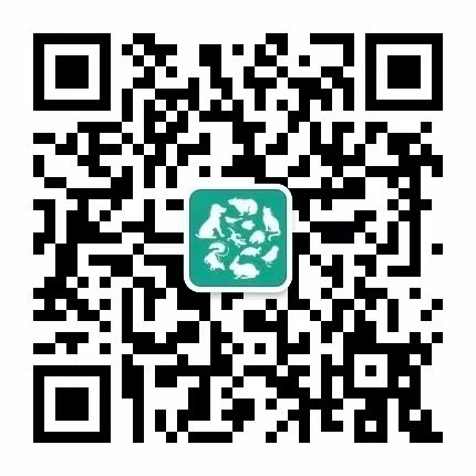 fefa9ce946977bc9b41b180c70f75ee1.jpg